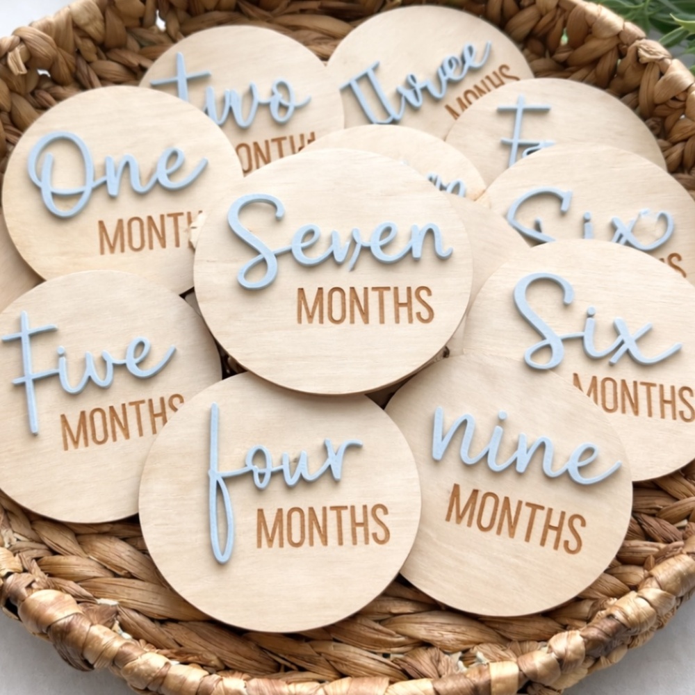 Baby Monthly Milestone Disc Set of 12